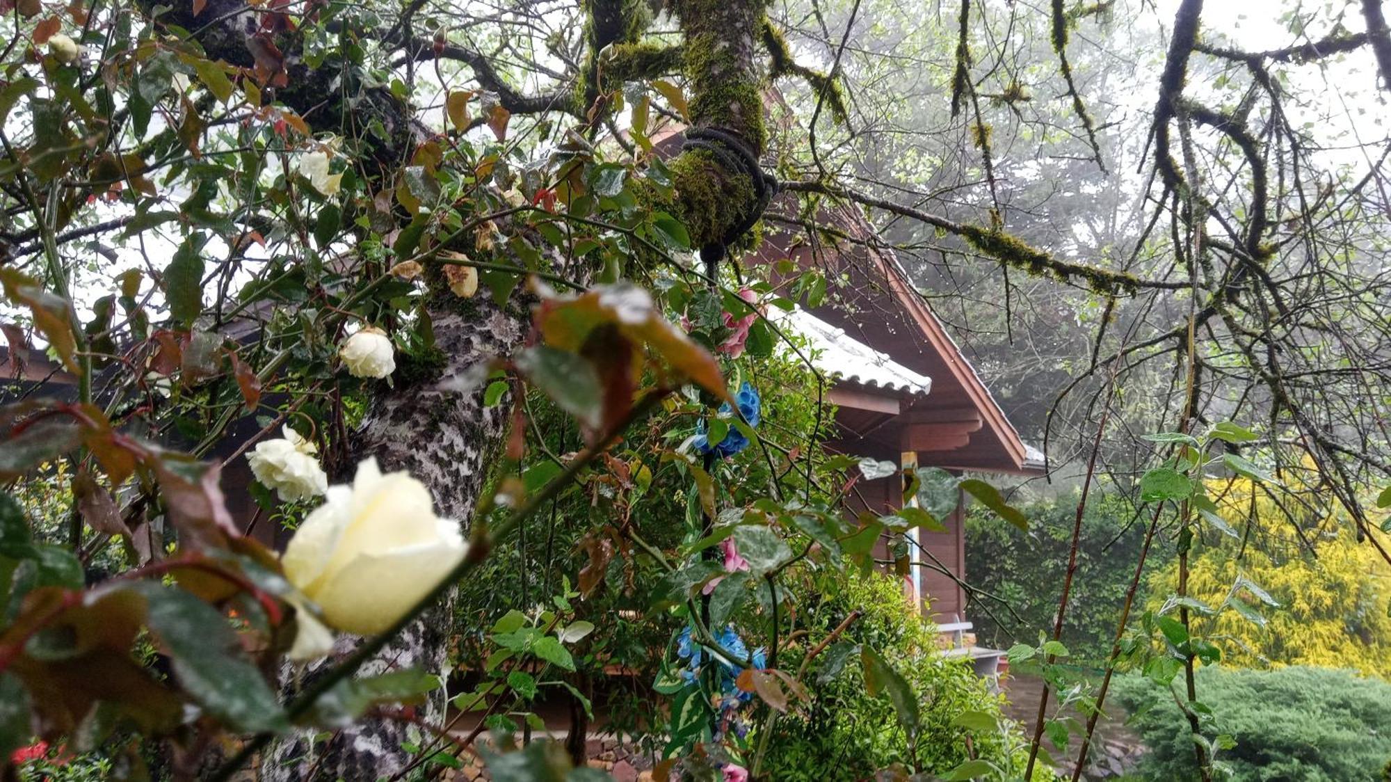 Chale Martinho Villa Gramado Exterior photo