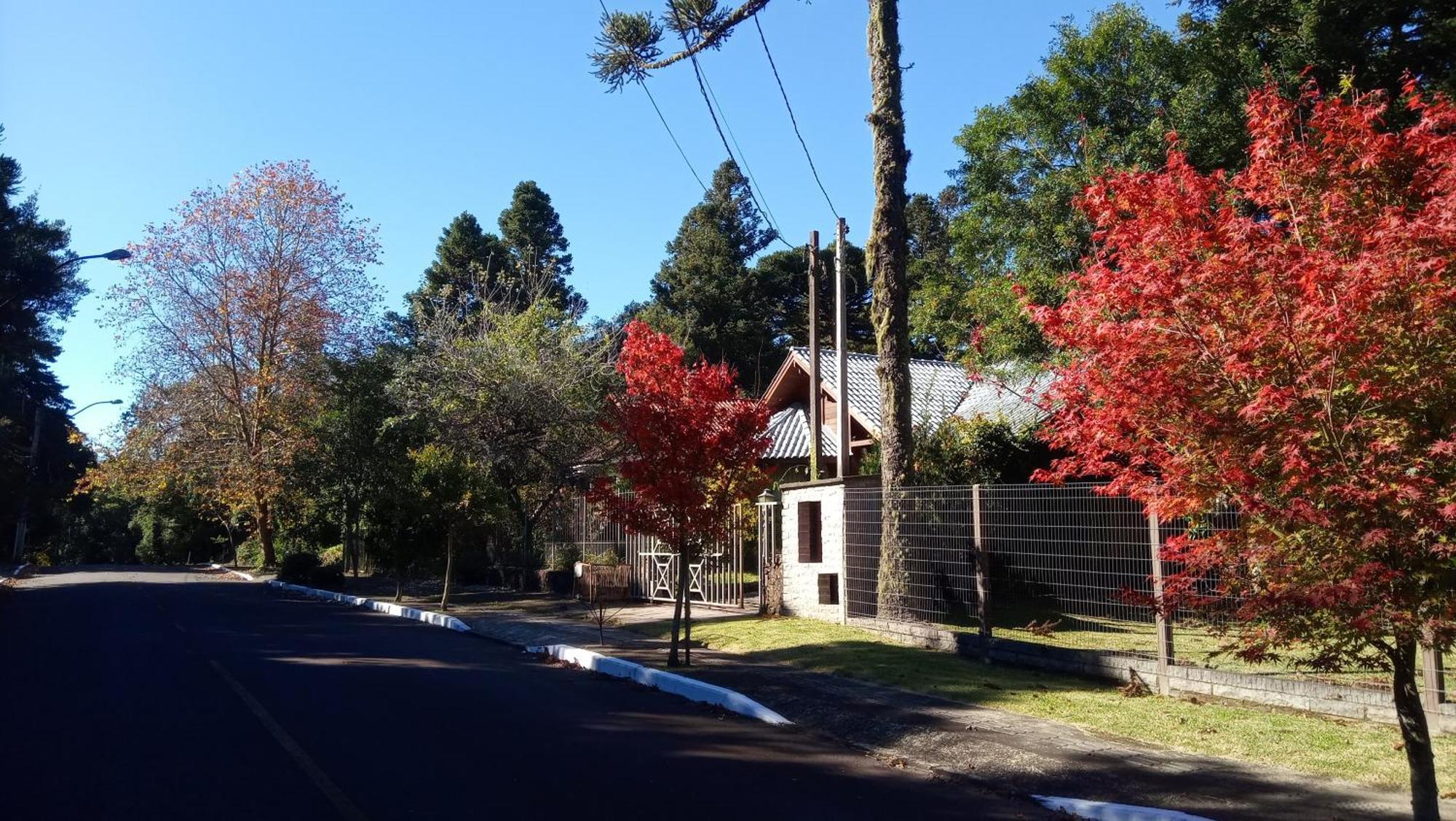 Chale Martinho Villa Gramado Exterior photo